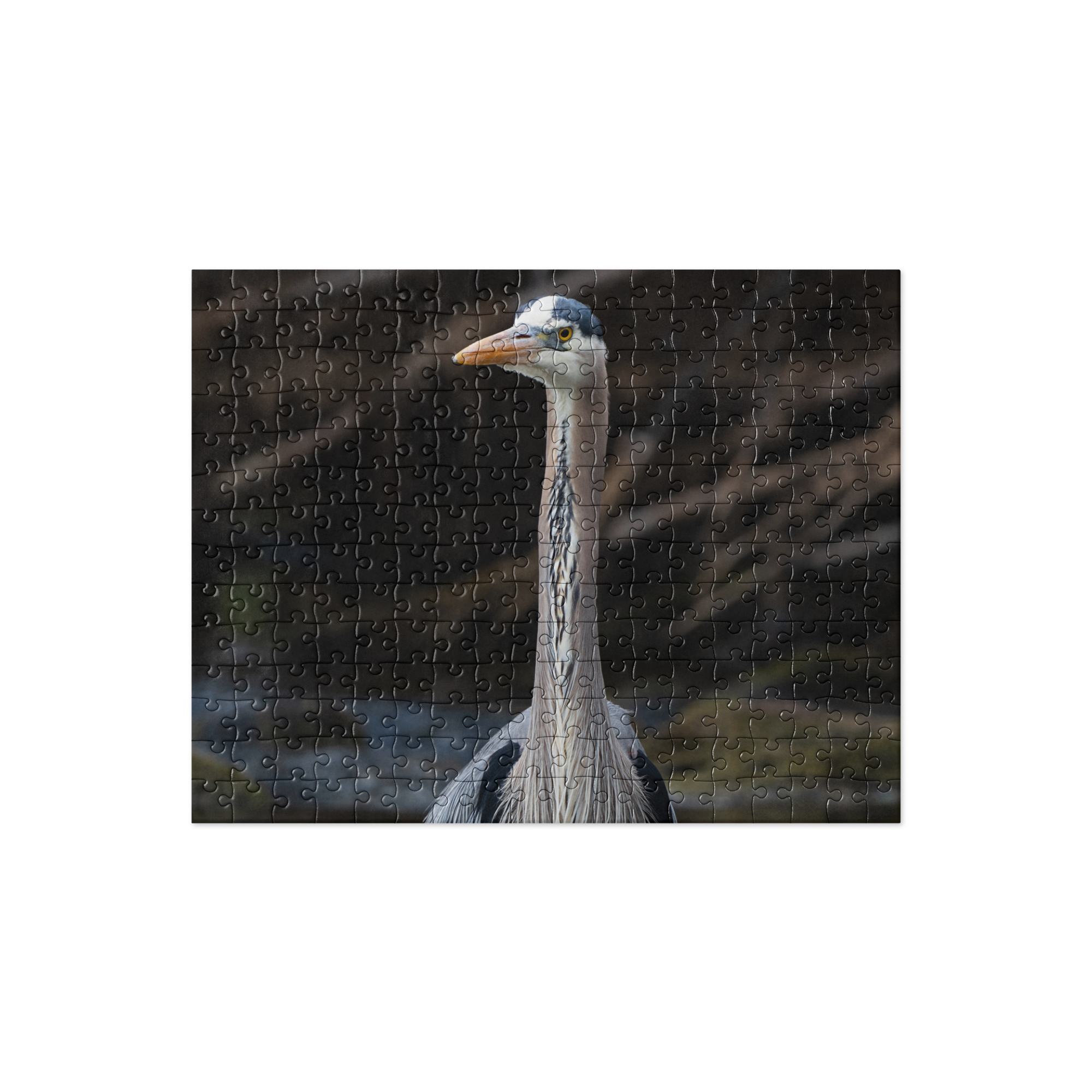 Blue Heron Jigsaw puzzle