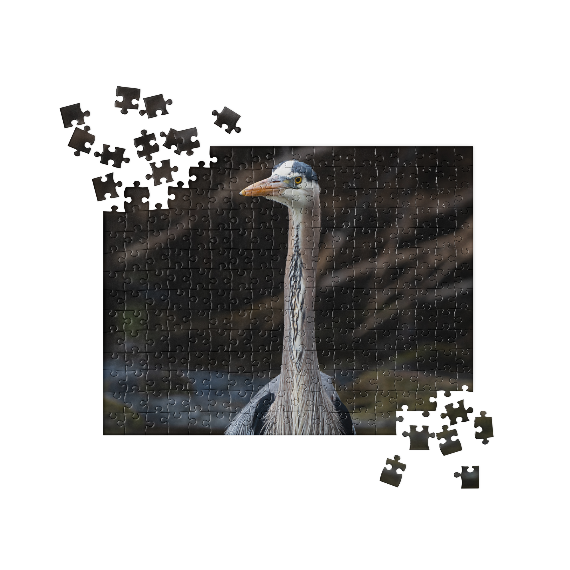 Blue Heron Jigsaw puzzle