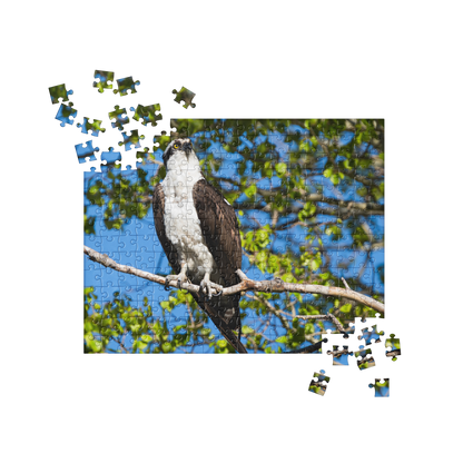 Osprey Jigsaw puzzle