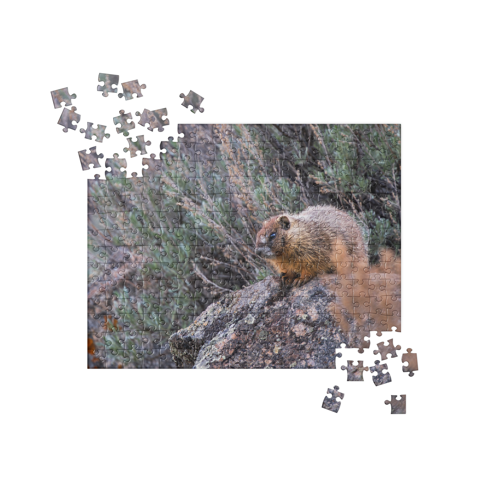 Baby Marmot Jigsaw puzzle