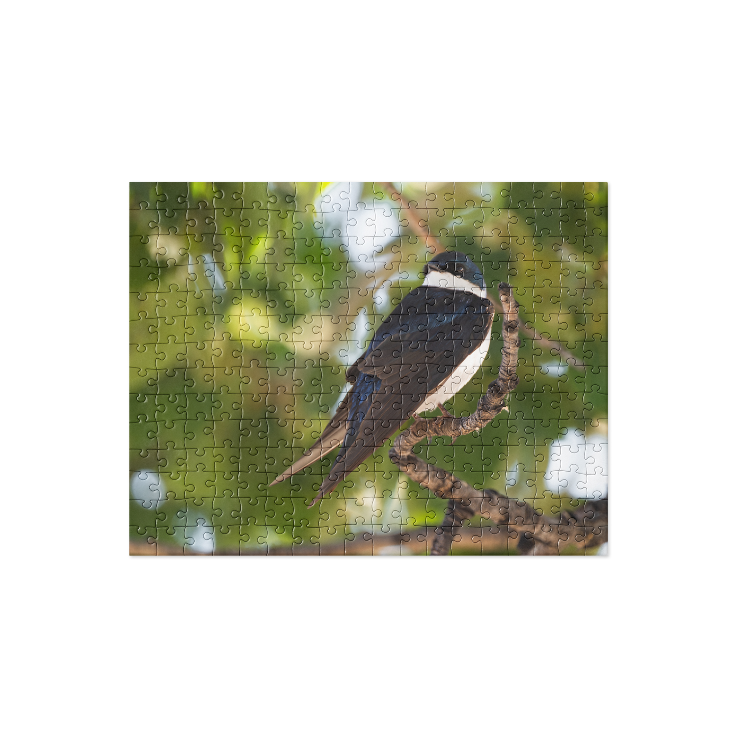 Tree Swallow Jigsaw puzzle