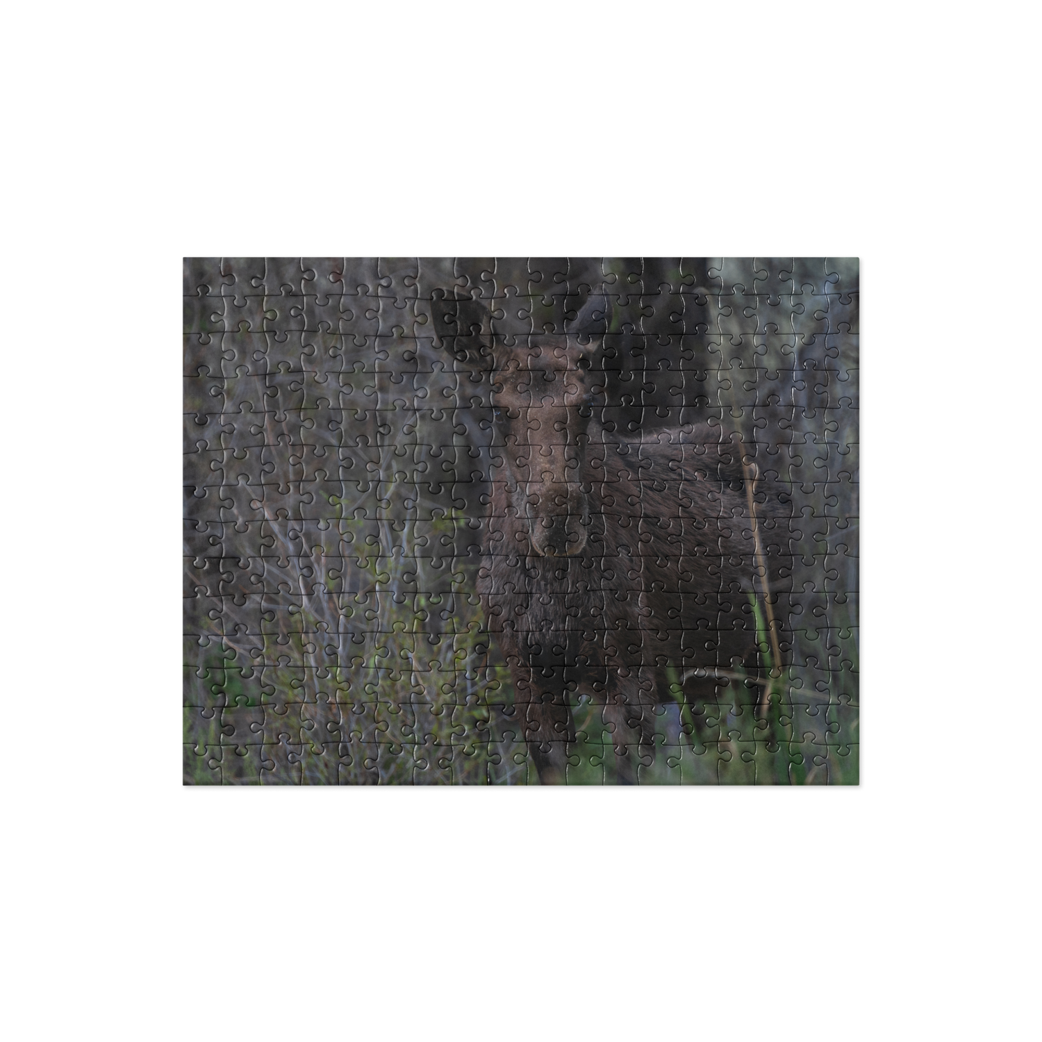 Moose Jigsaw puzzle