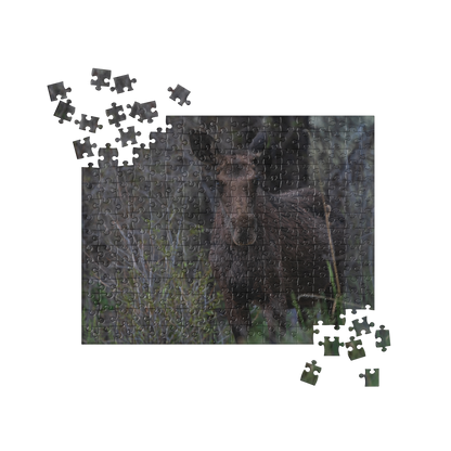 Moose Jigsaw puzzle