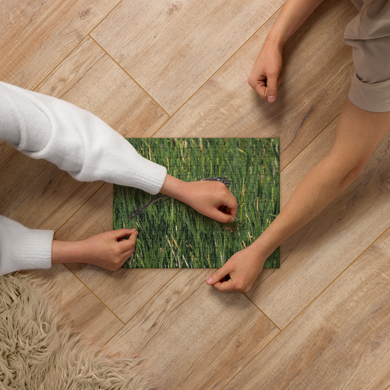 Northern Harrier Jigsaw puzzle