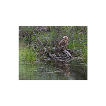 Owlet Jigsaw puzzle