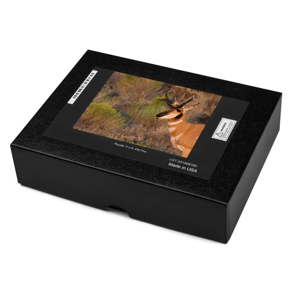 Pronghorn Jigsaw puzzle