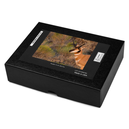 Pronghorn Jigsaw puzzle