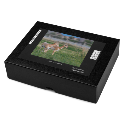 Pronghorn Jigsaw puzzle