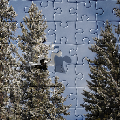 Winter Wonderland Puzzle: Step into the Magic of Wyoming’s Snowy Paradise