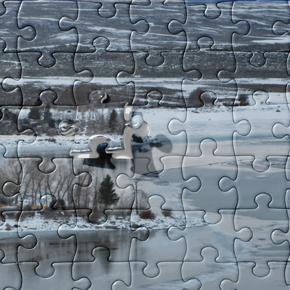 Jigsaw puzzle Willow Lake, Wyoming Scenerie