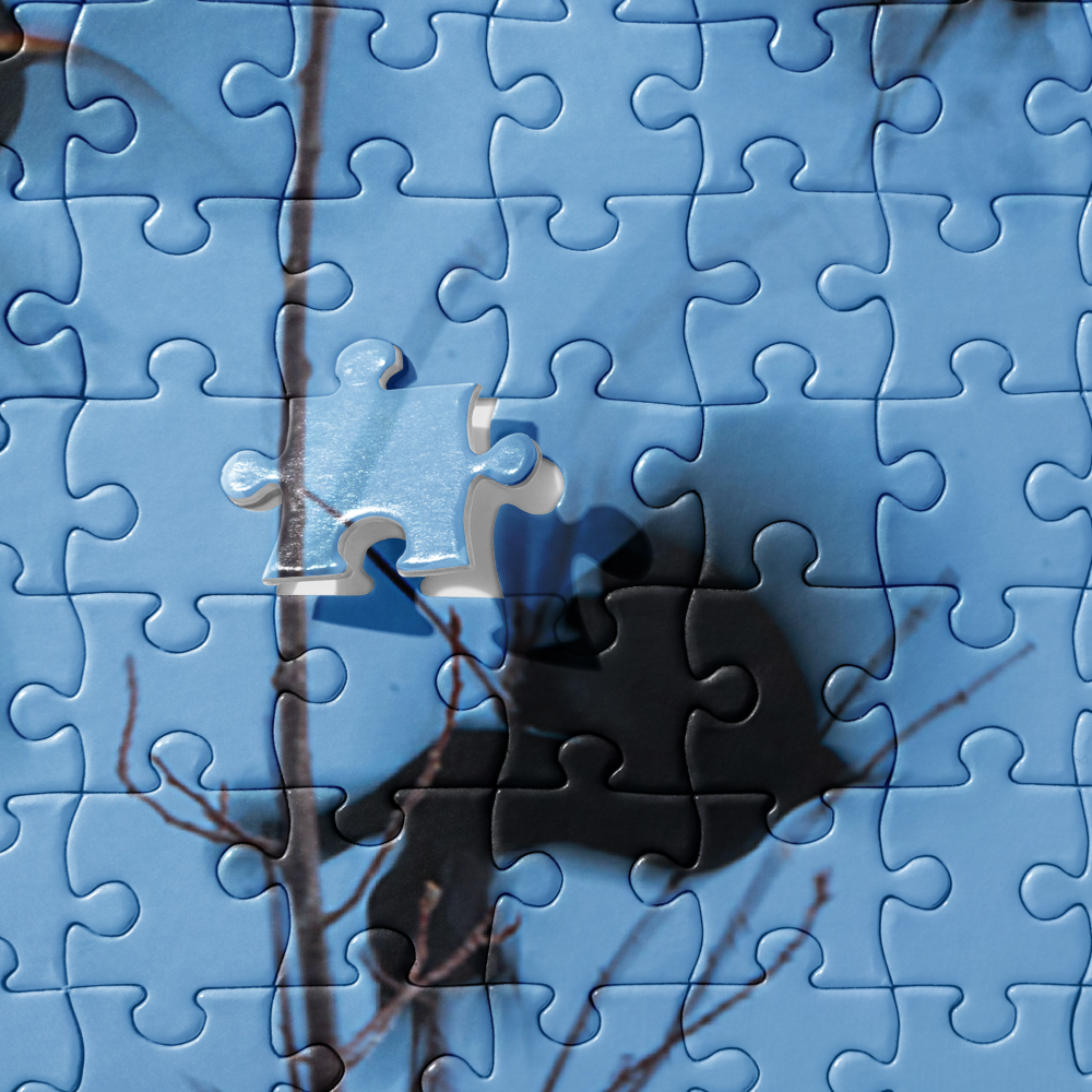 Birds at Fly Jigsaw puzzle