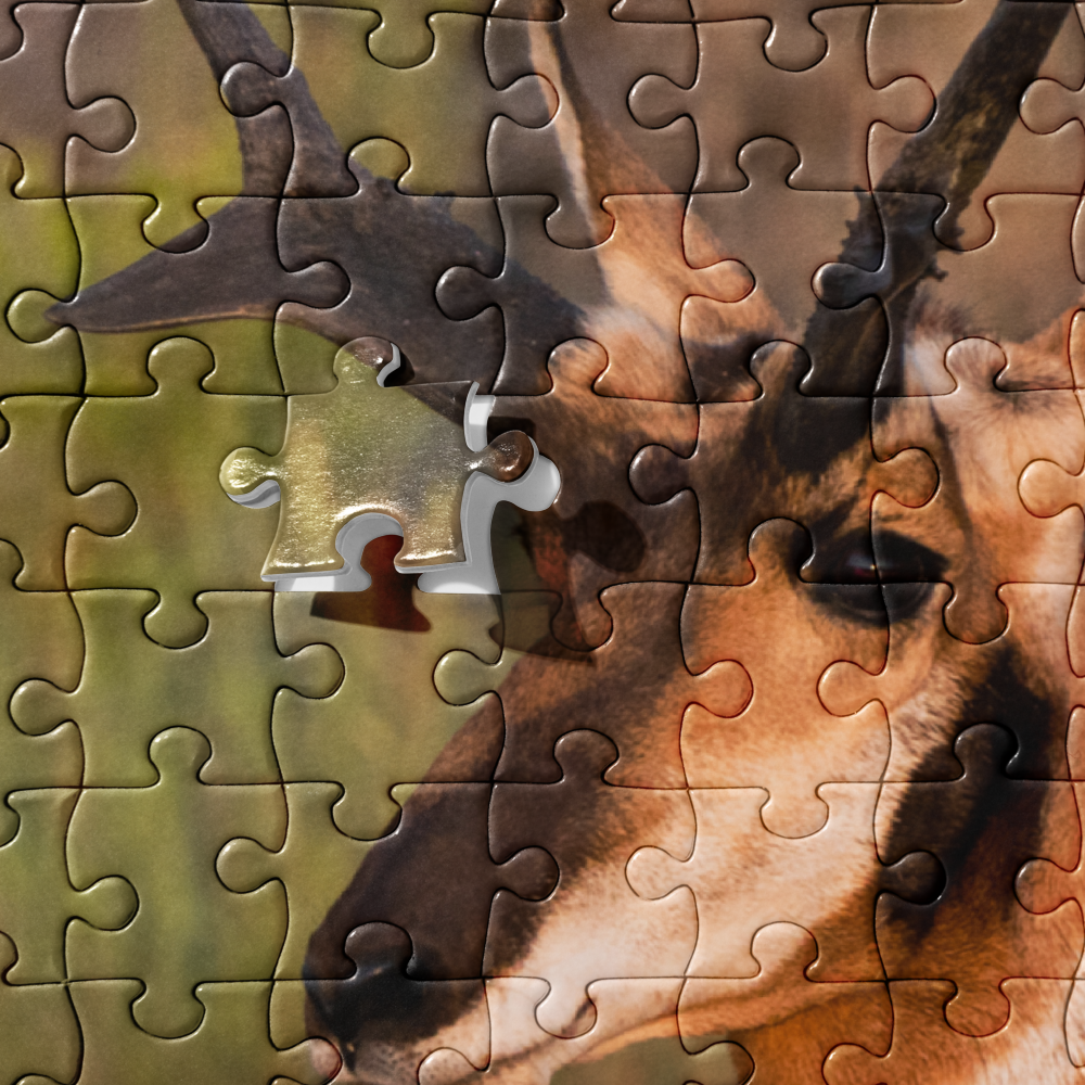 Pronghorn Jigsaw puzzle