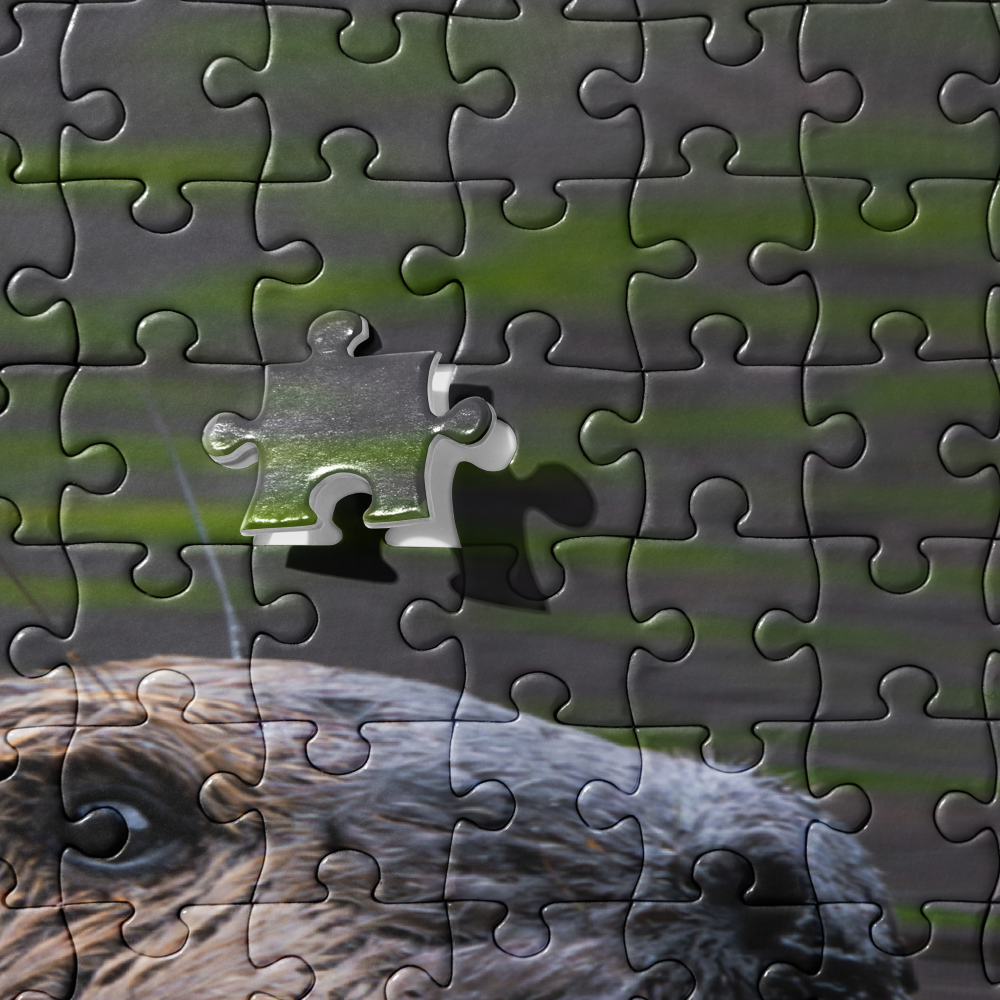 Beaver Close-up Jigsaw puzzle