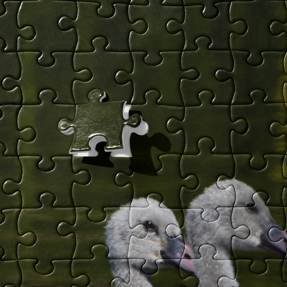 Baby Swans Jigsaw puzzle