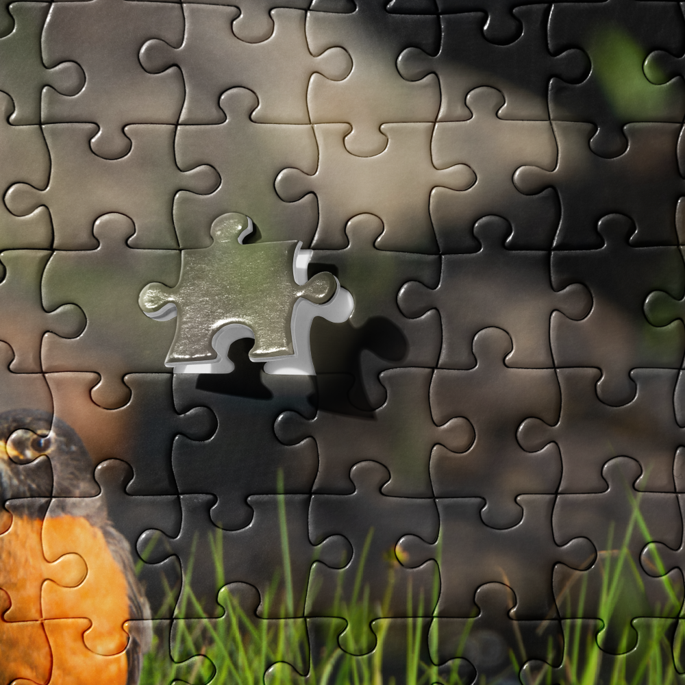 Robin Jigsaw puzzle