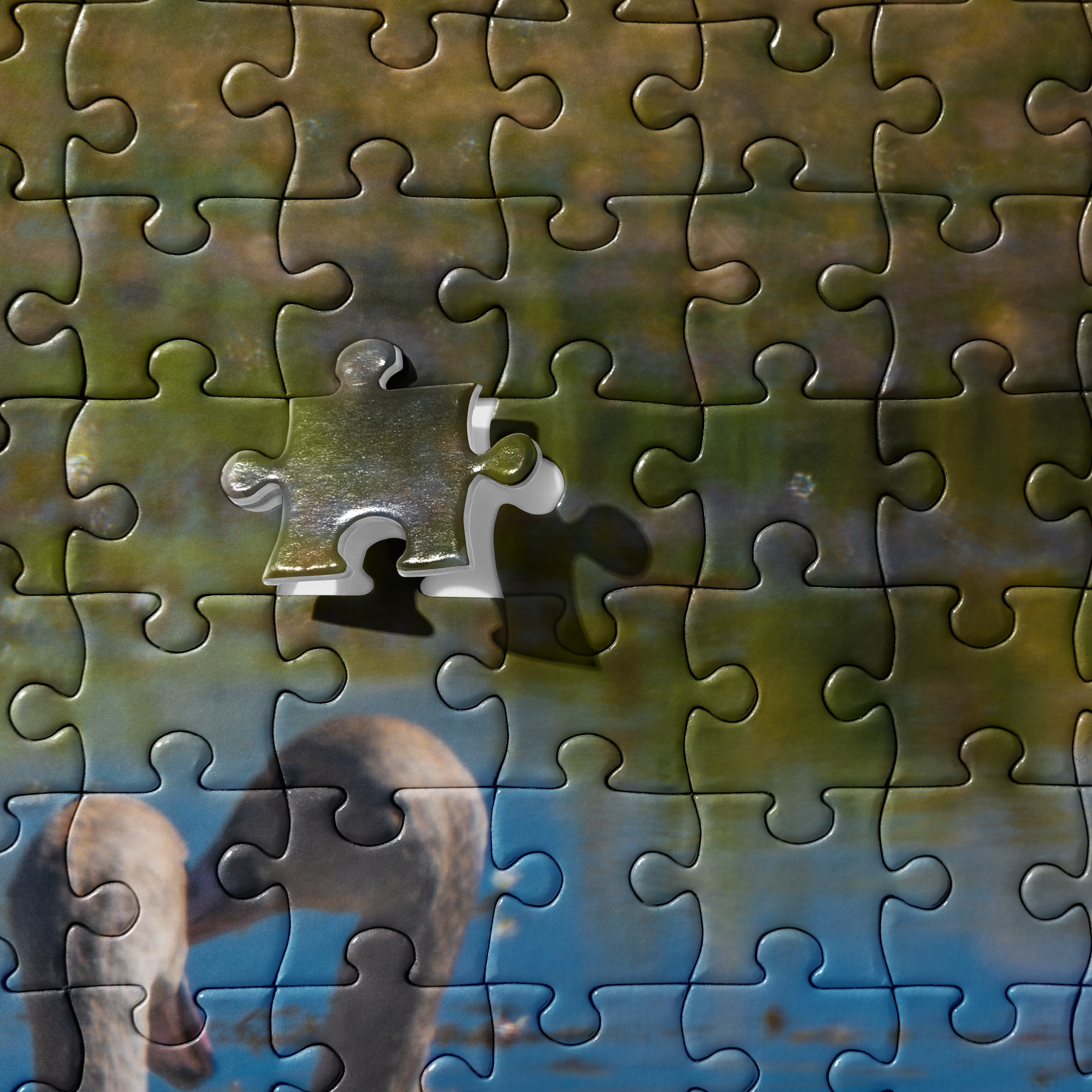 Swans Jigsaw puzzle