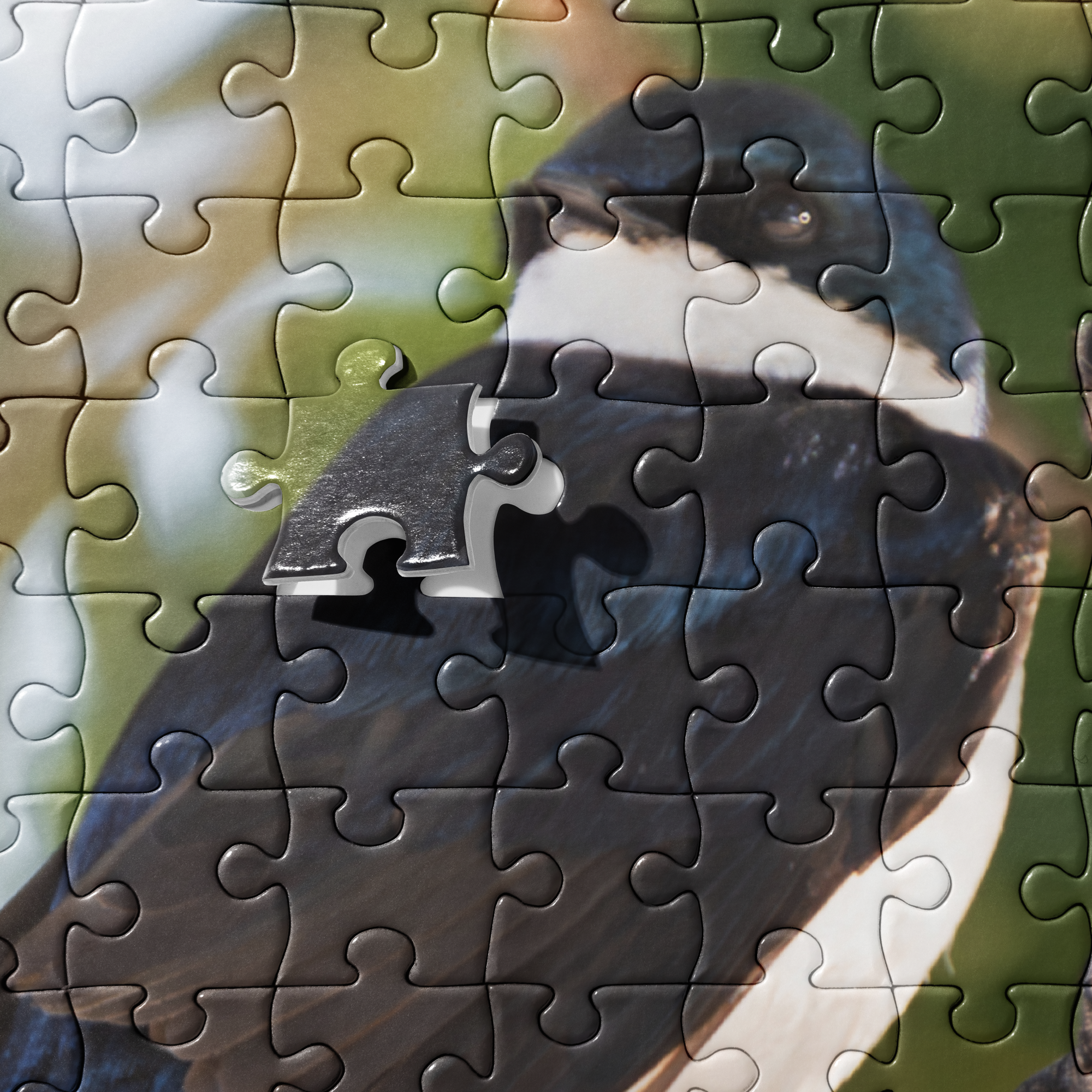 Tree Swallow Jigsaw puzzle