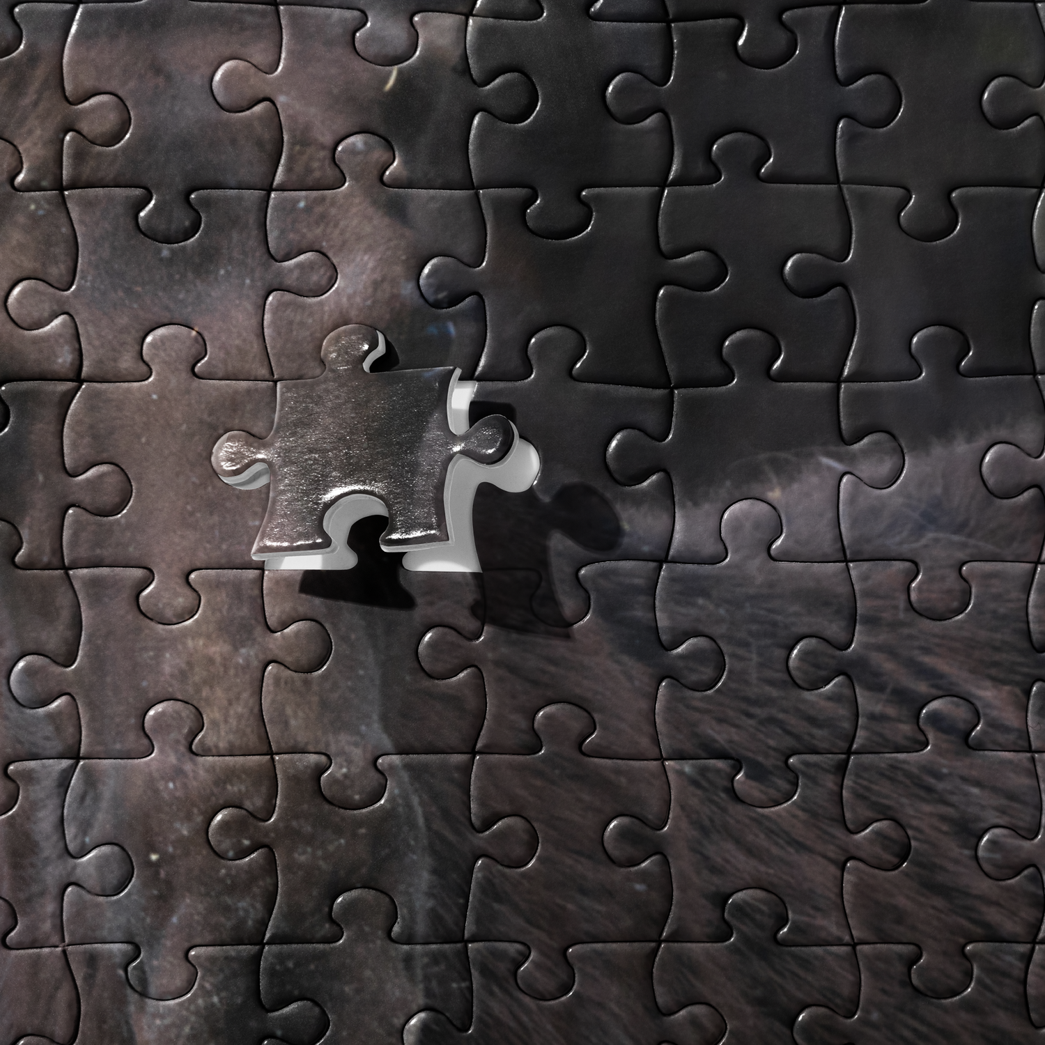Moose Jigsaw puzzle