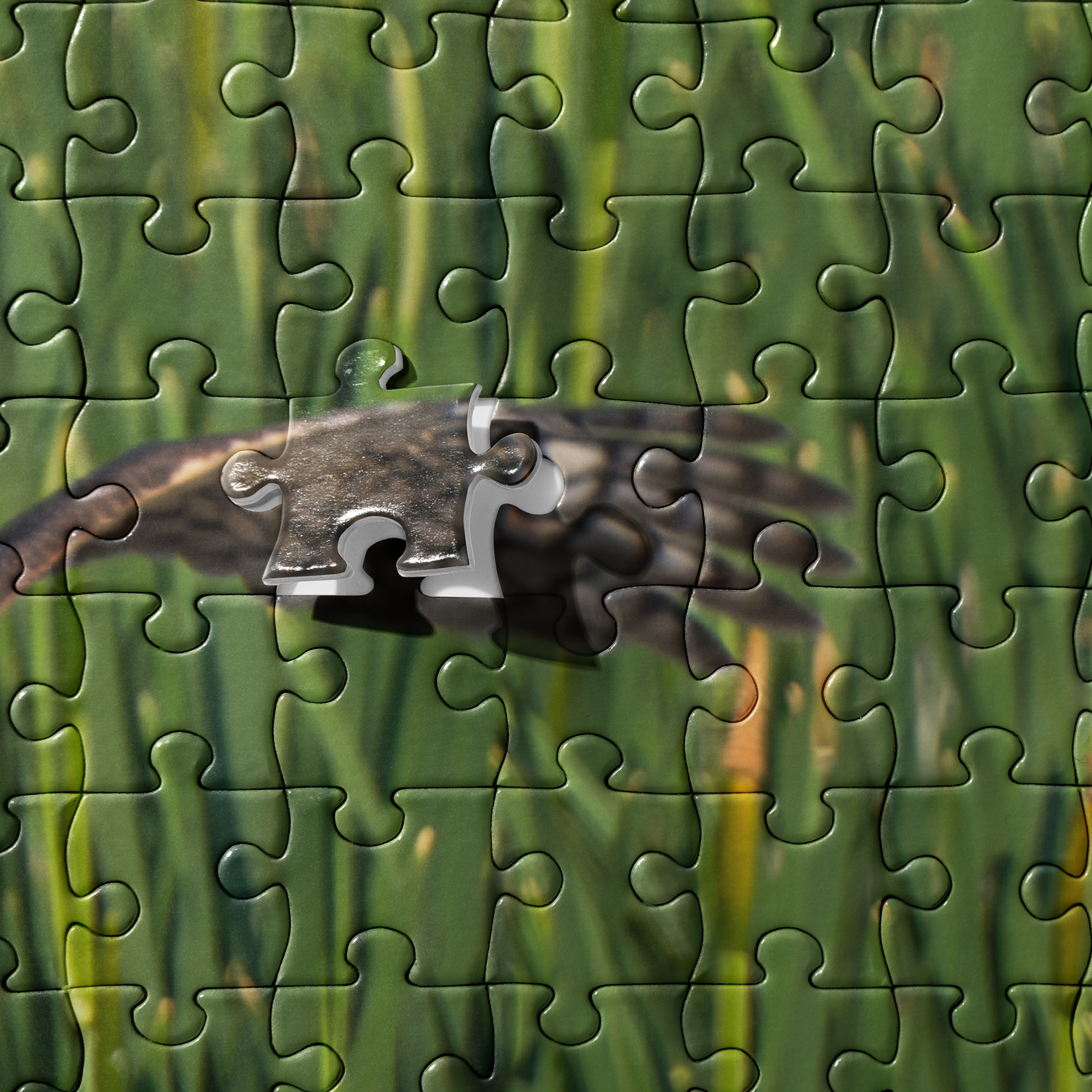 Northern Harrier Jigsaw puzzle