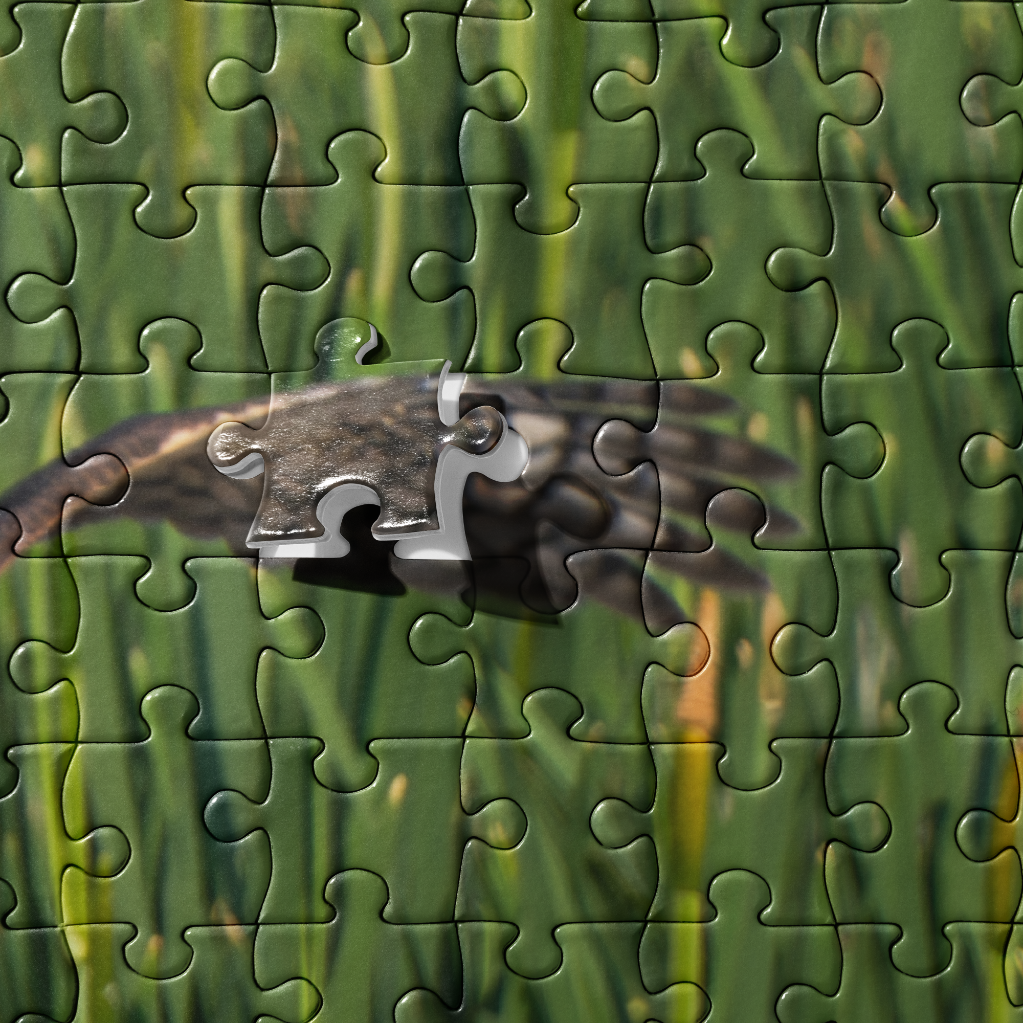 Northern Harrier Jigsaw puzzle