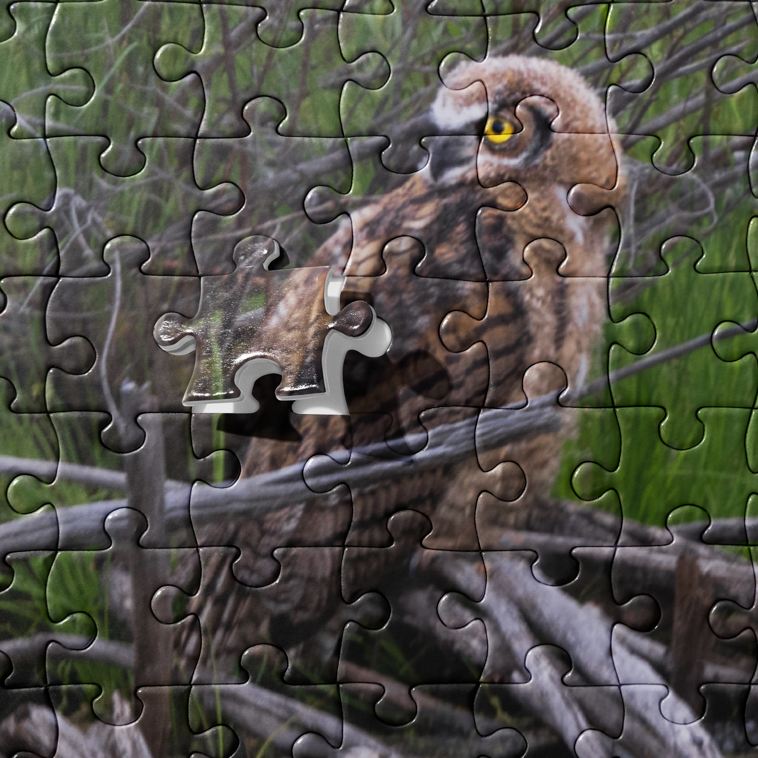 Owlet Jigsaw puzzle