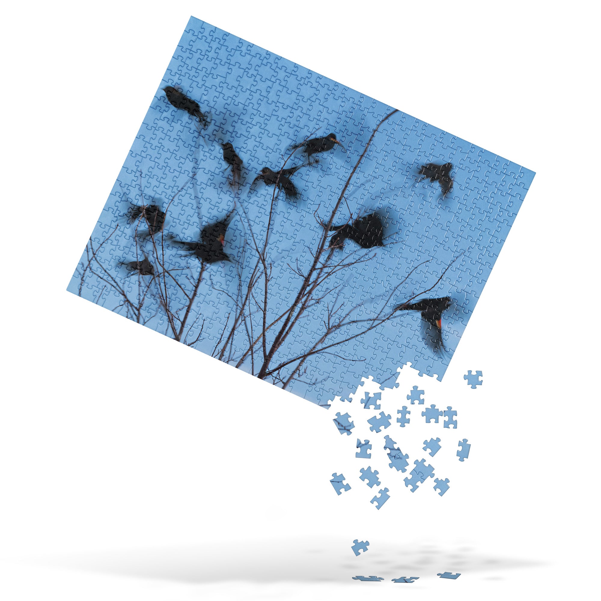 Birds at Fly Jigsaw puzzle