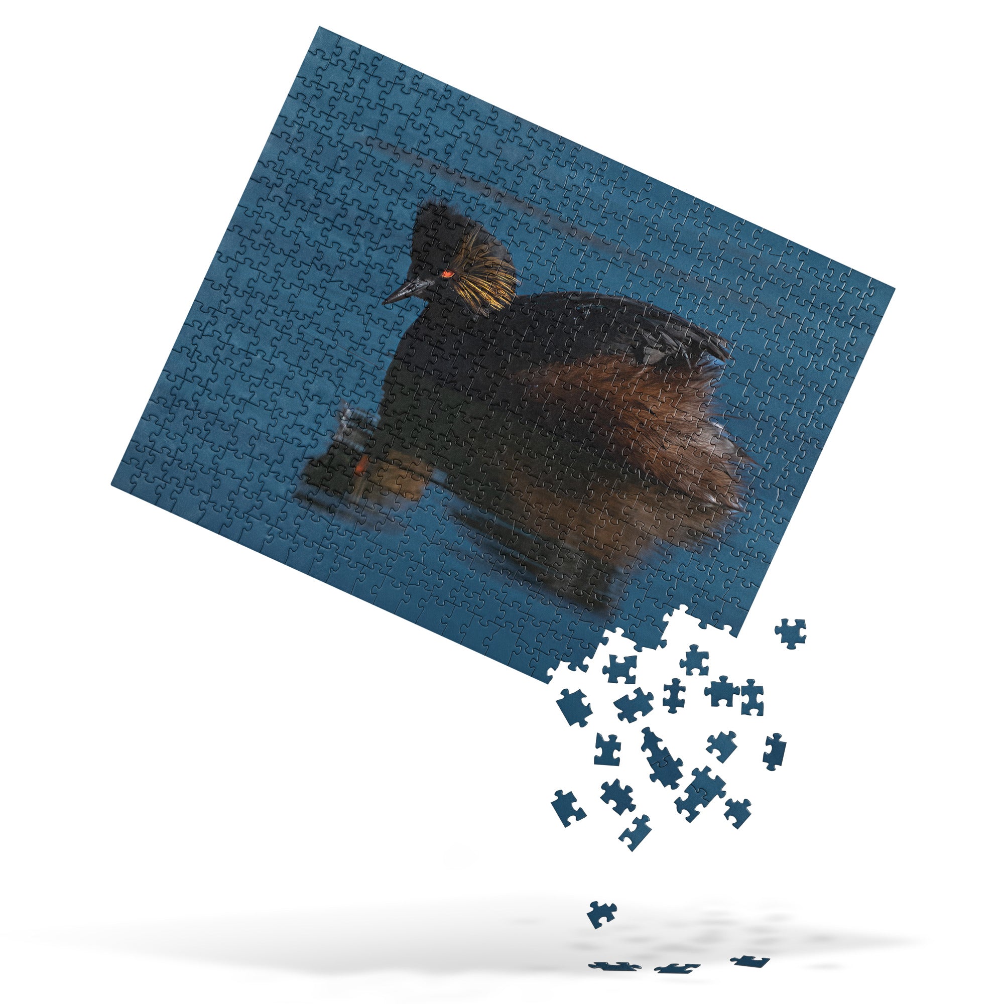 Eered Grebe Jigsaw puzzle