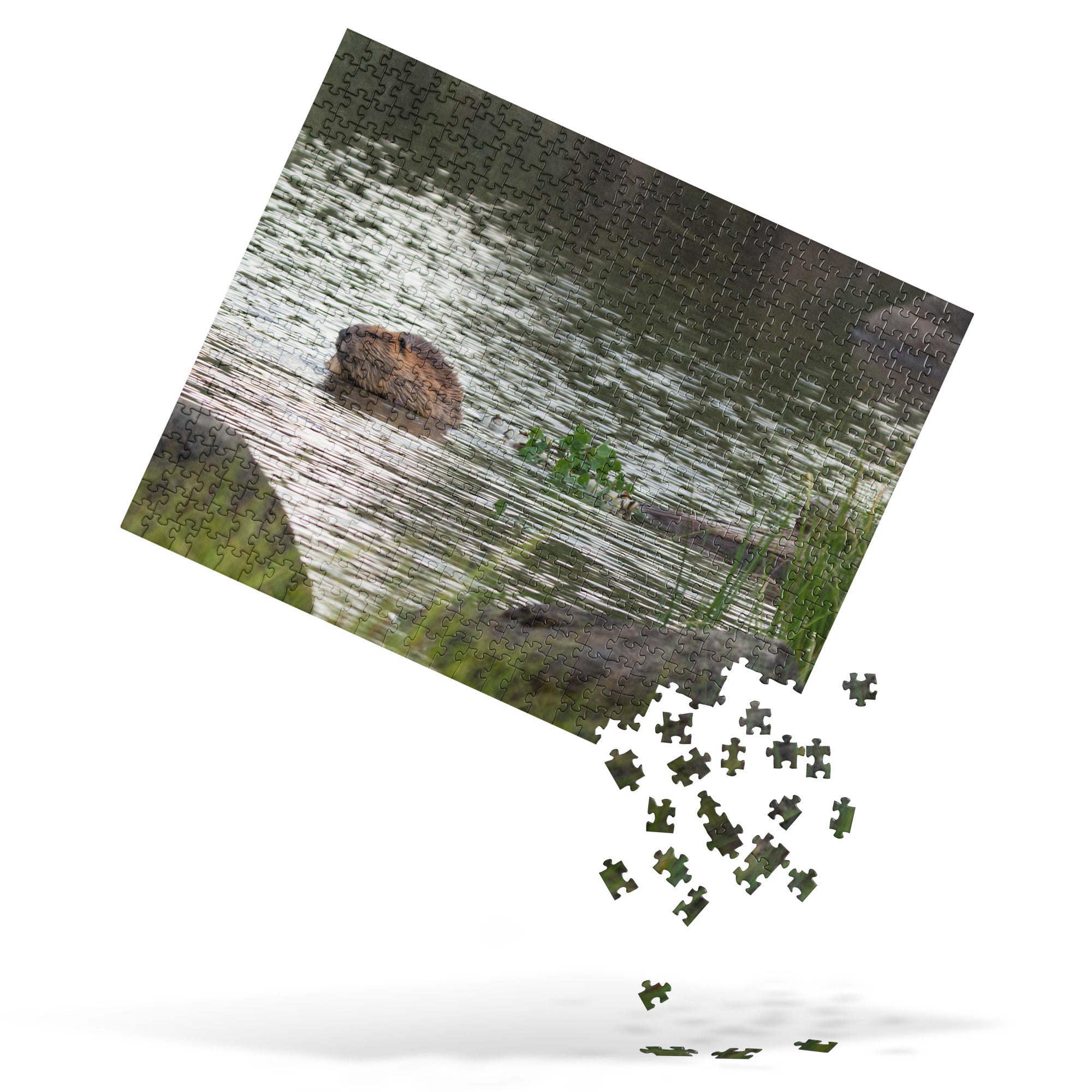 Beaver Jigsaw puzzle