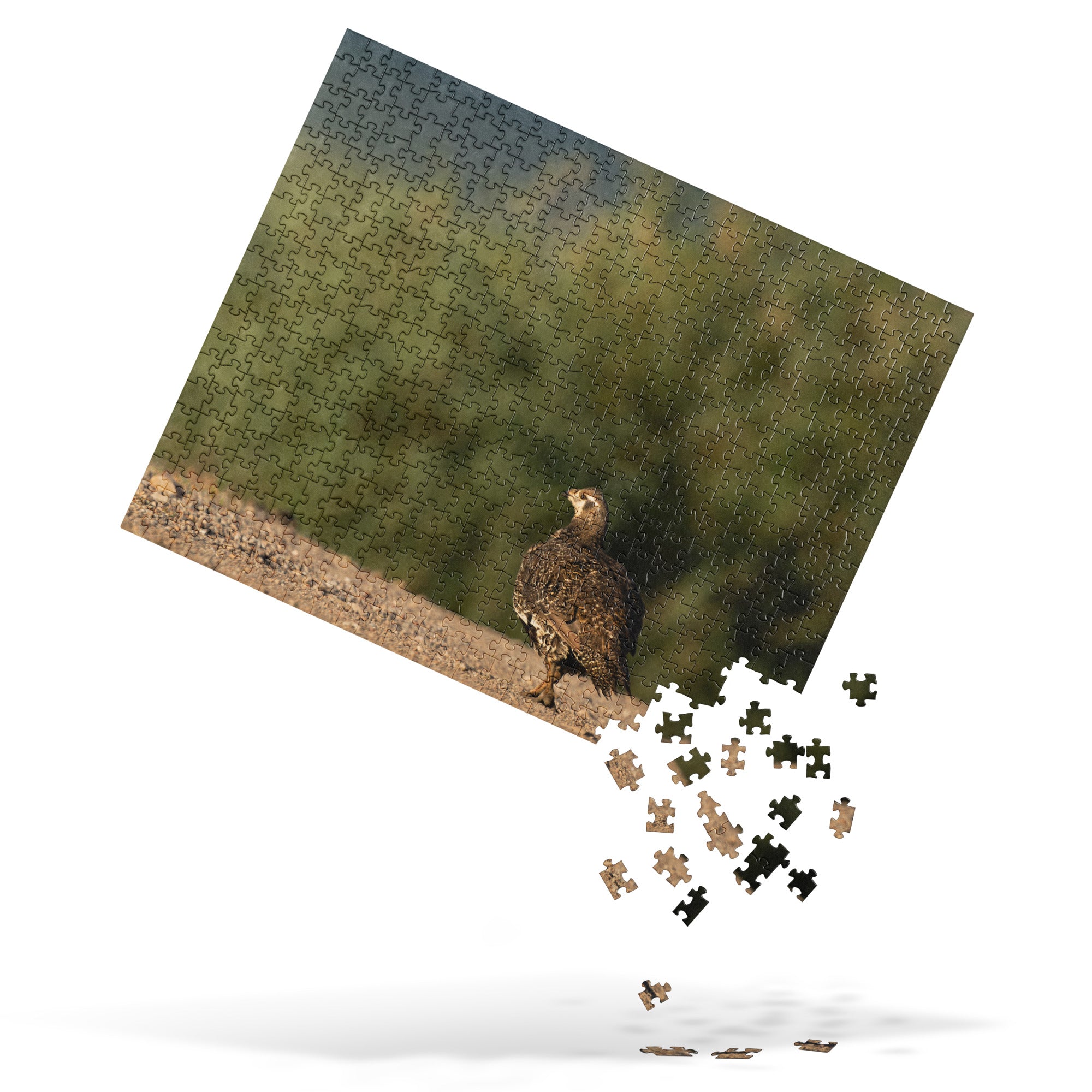 Sage Grouse Jigsaw puzzle