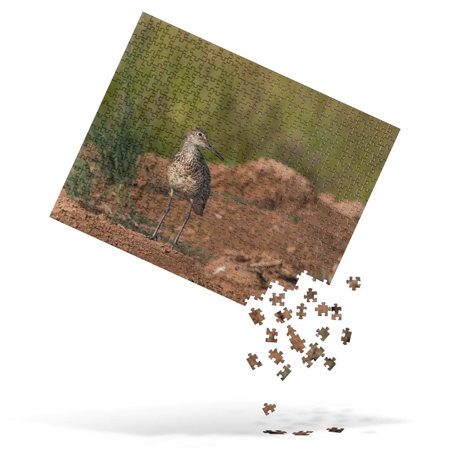 Willet Jigsaw puzzle