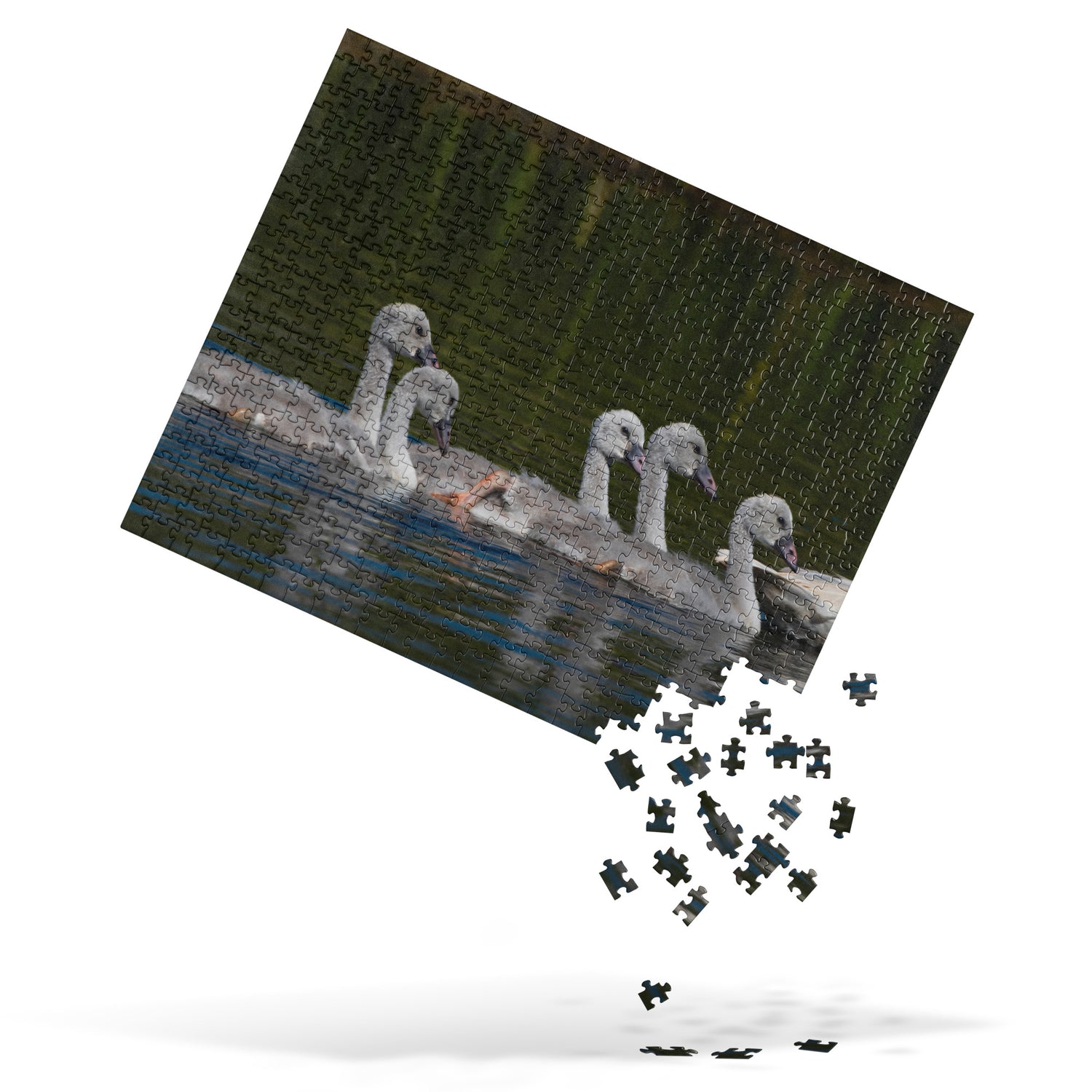 Baby Swans Jigsaw puzzle