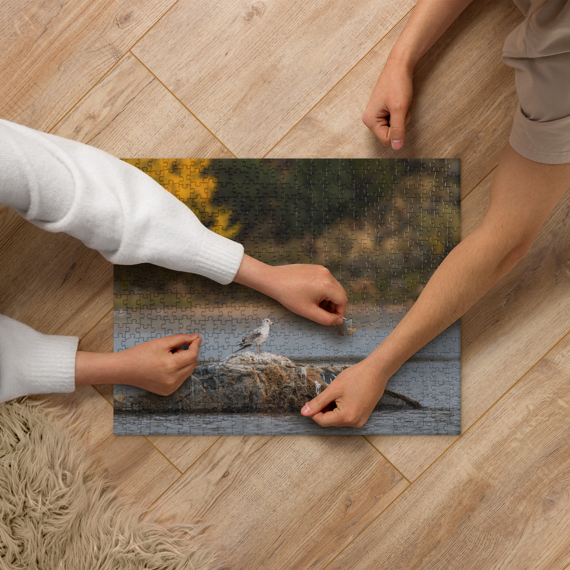 Ring Billed Gull Jigsaw puzzle