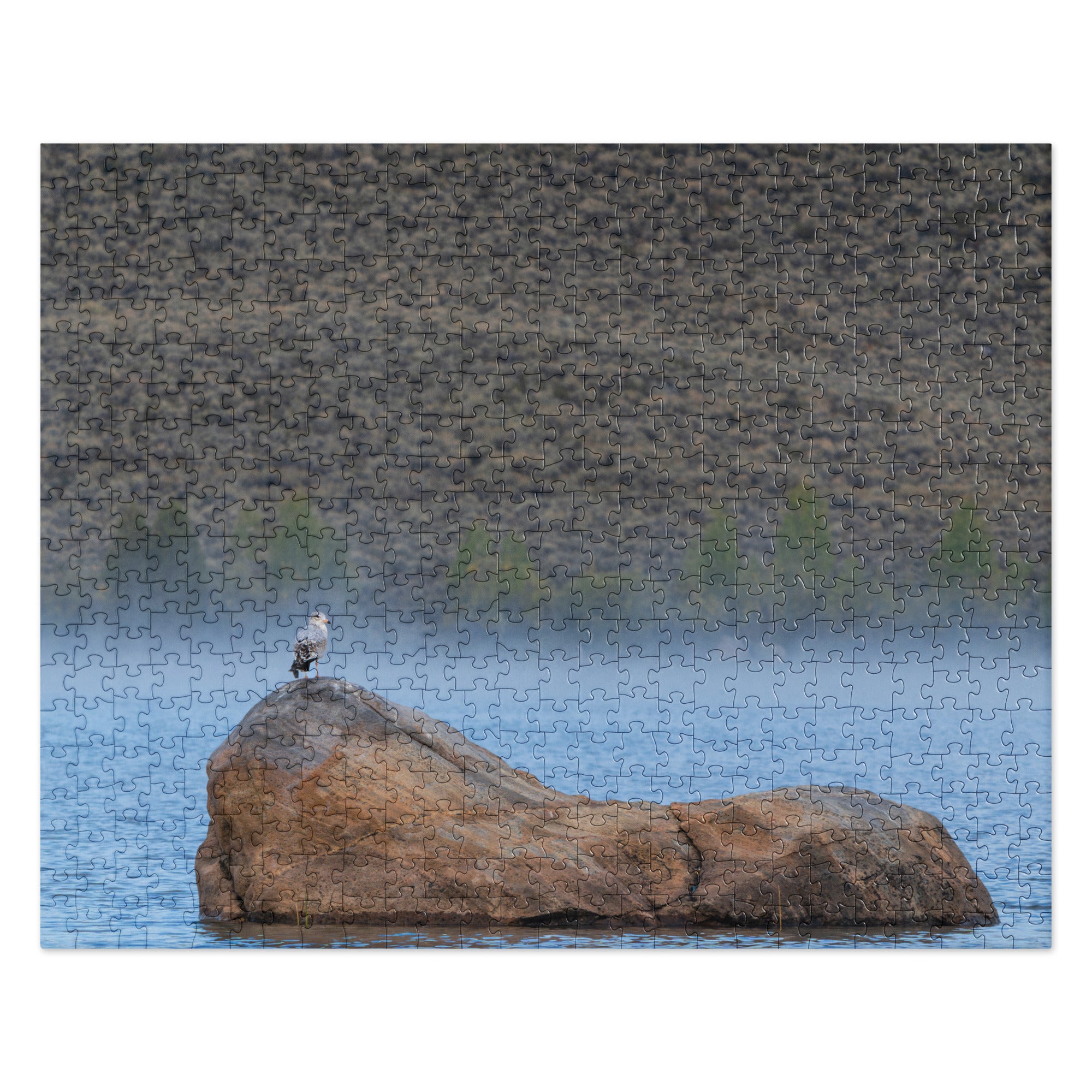 Ring Billed Gull Jigsaw puzzle