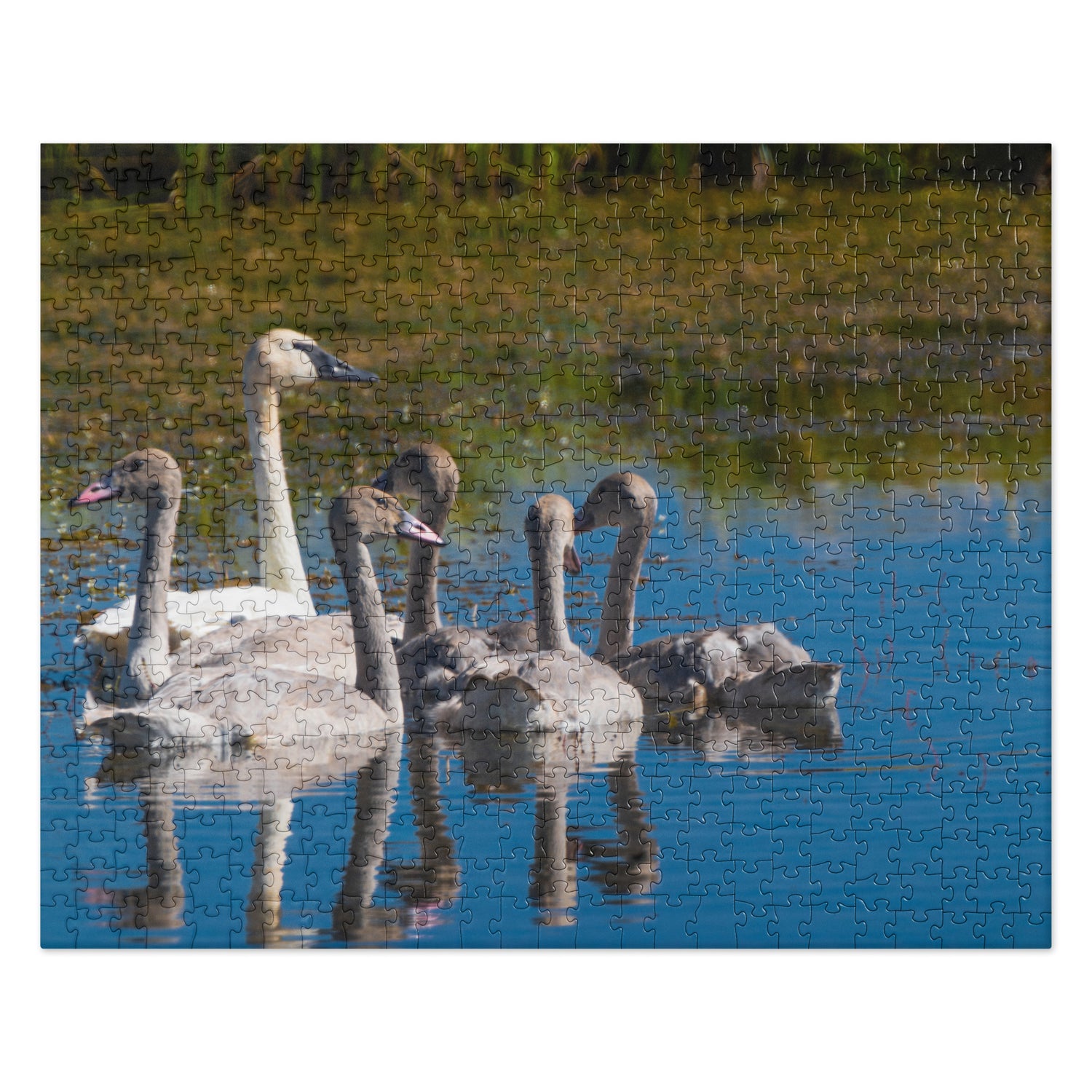 Swans Jigsaw puzzle