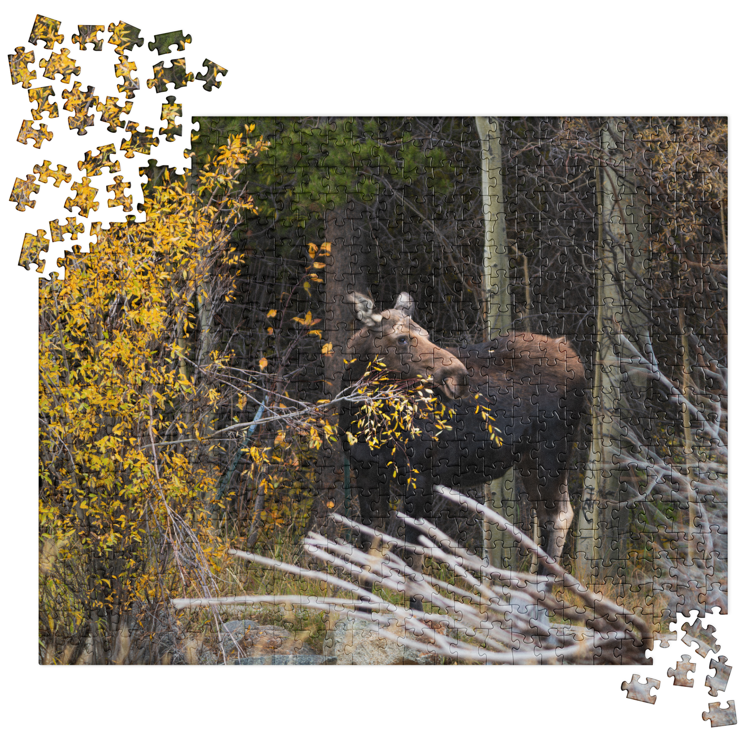 Moose Jigsaw puzzle