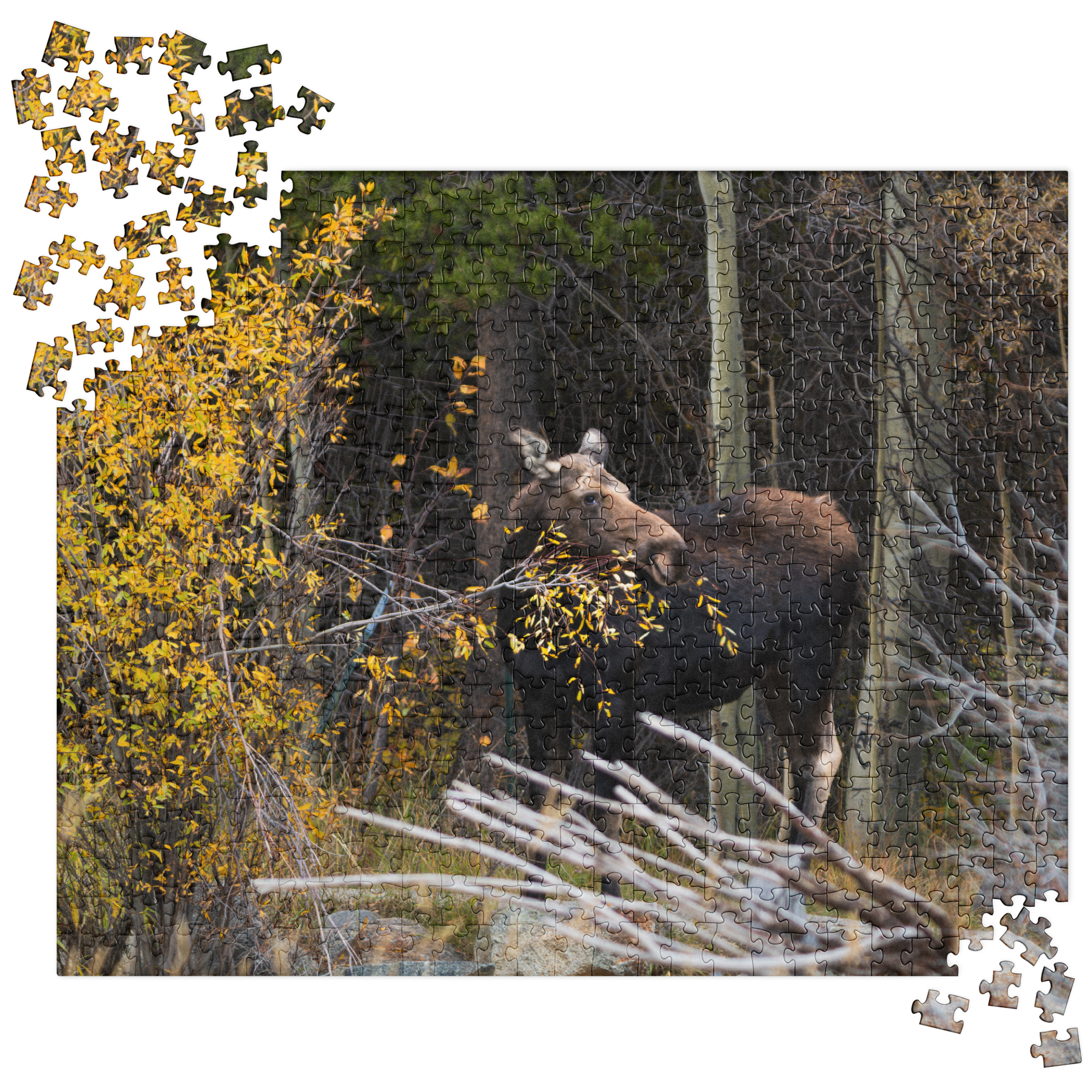 Moose Jigsaw puzzle