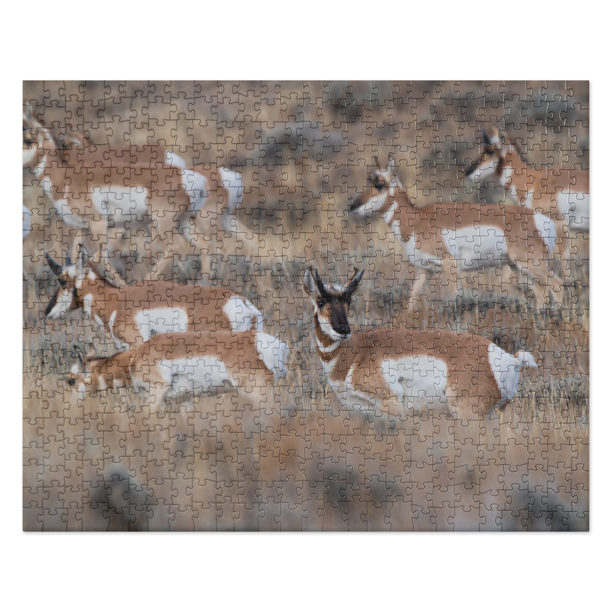 Pronghorn Puzzles: Piece Together Wyoming&