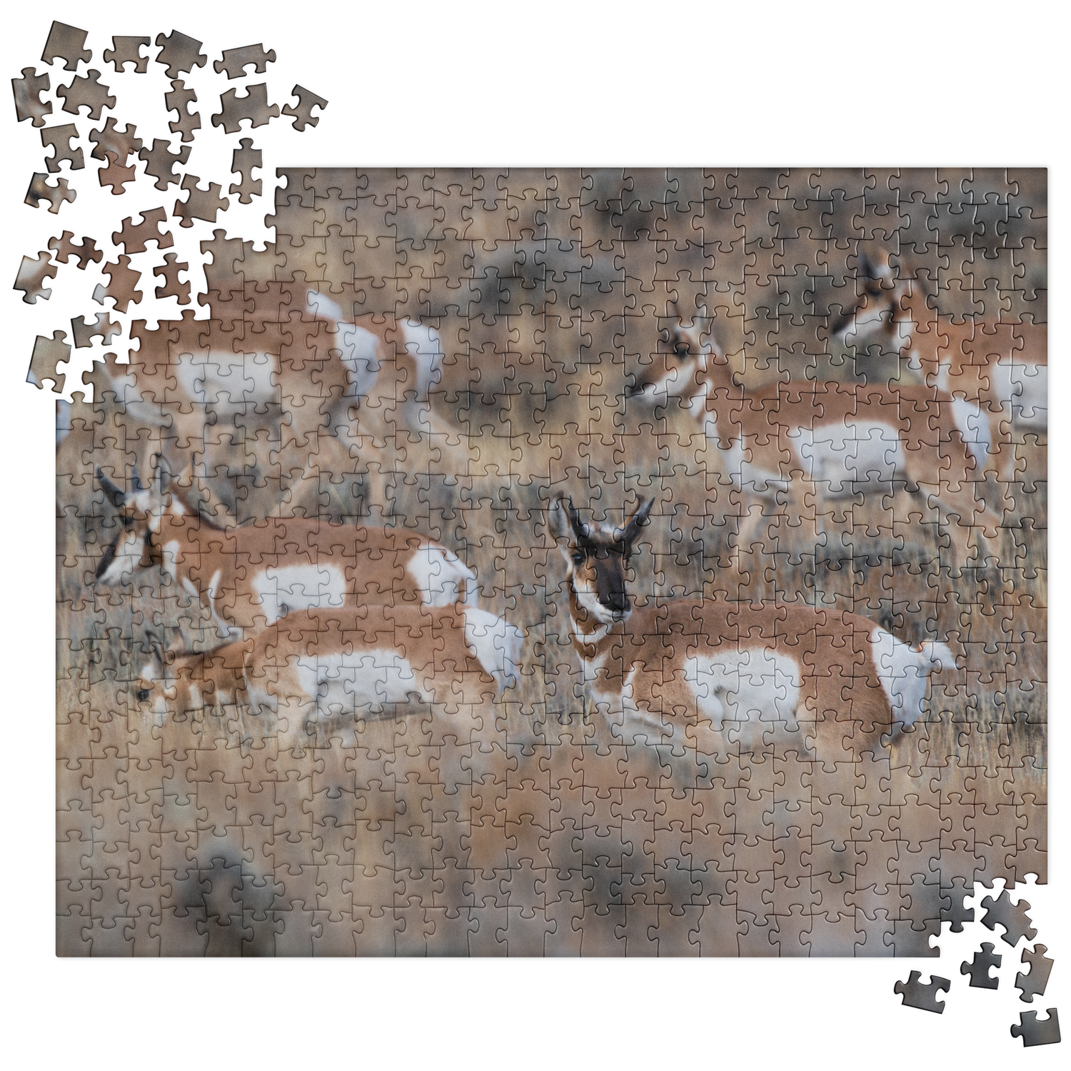 Pronghorn Puzzles: Piece Together Wyoming&