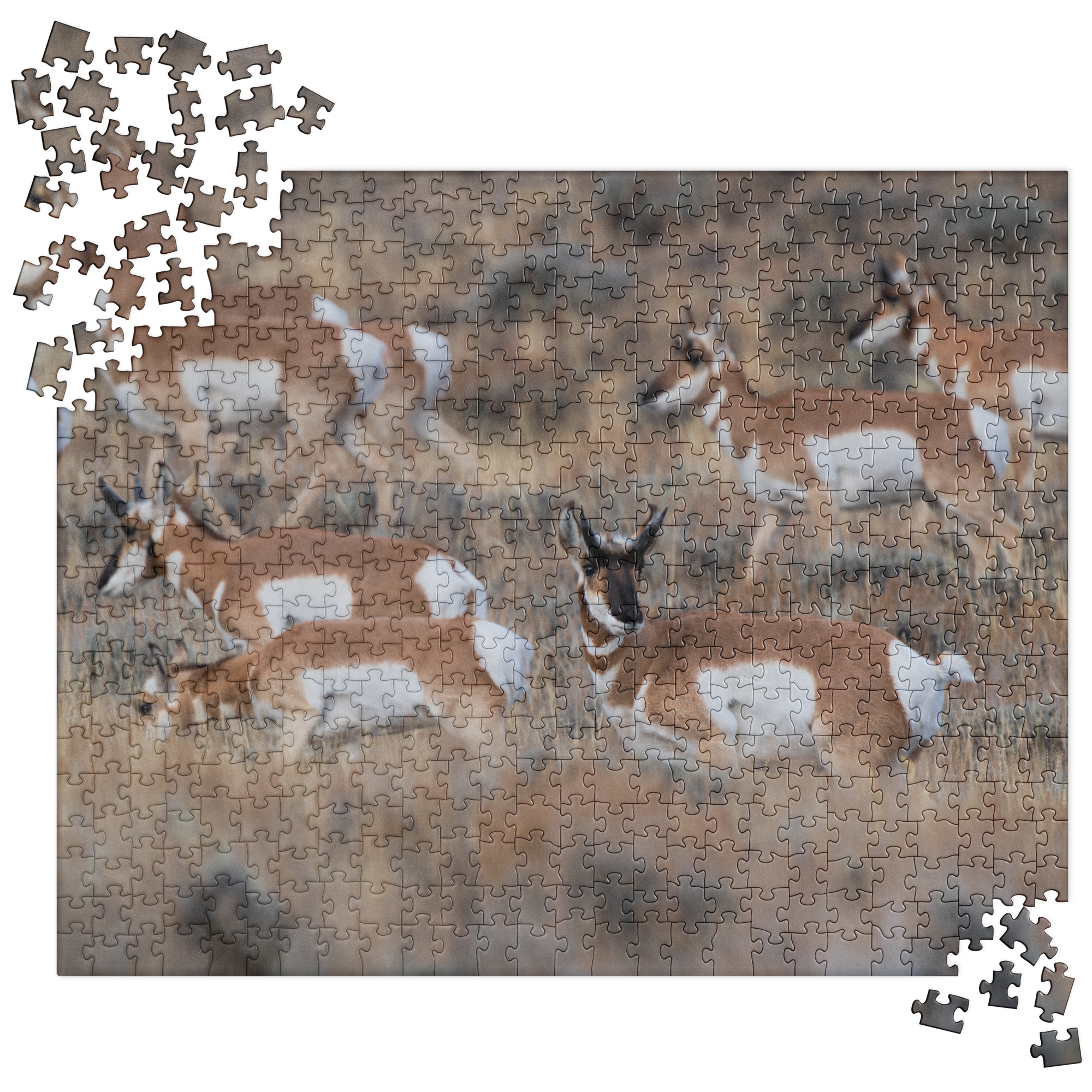 Pronghorn Puzzles: Piece Together Wyoming&