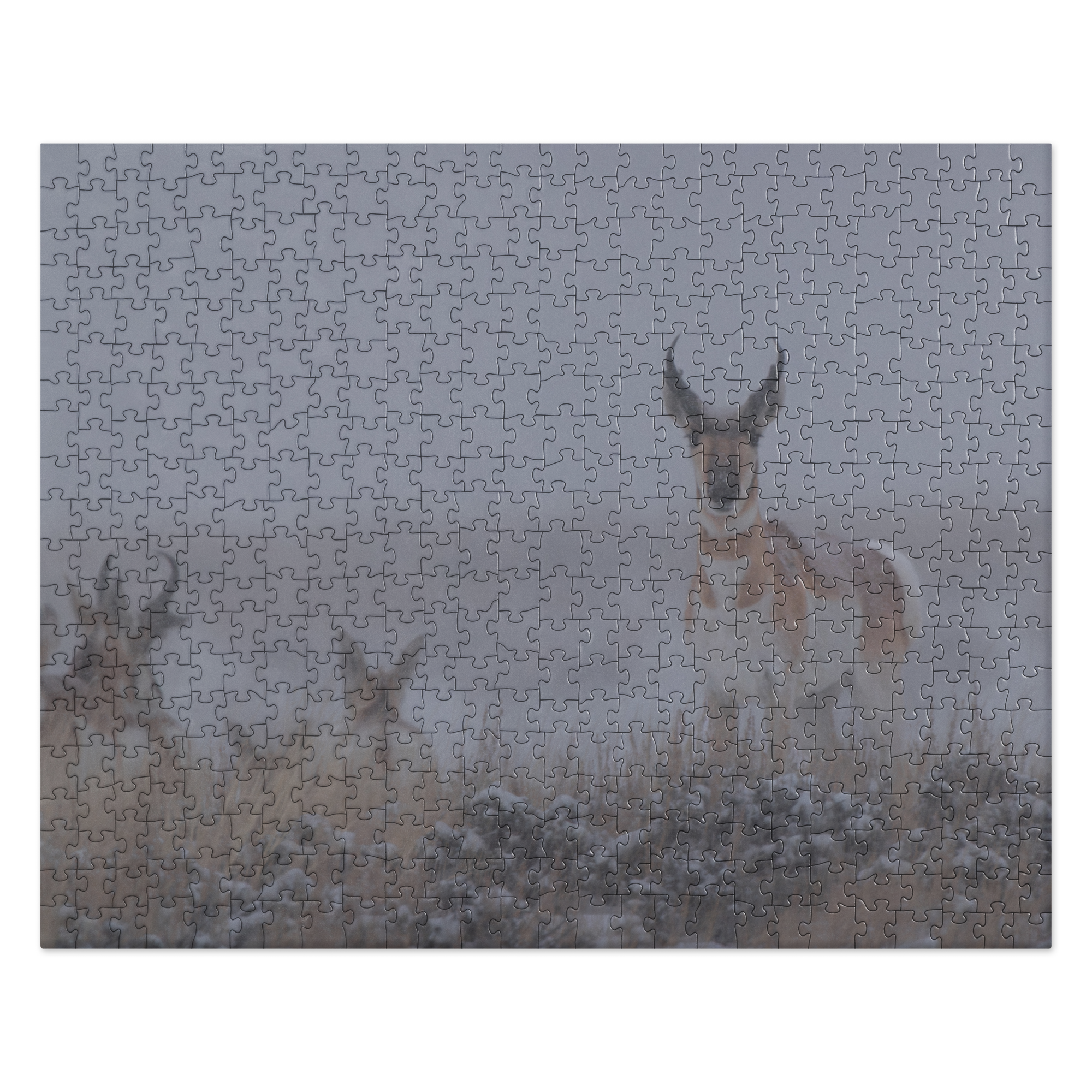 Pronghorn Puzzles: Piece Together Wyoming&