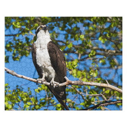 Osprey Jigsaw puzzle