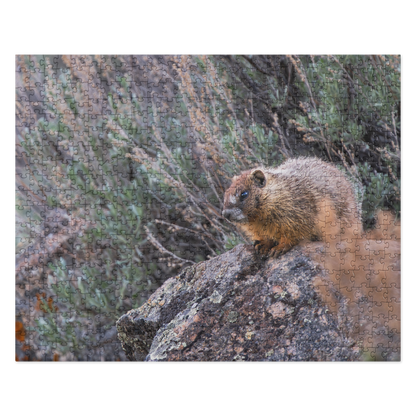 Baby Marmot Jigsaw puzzle