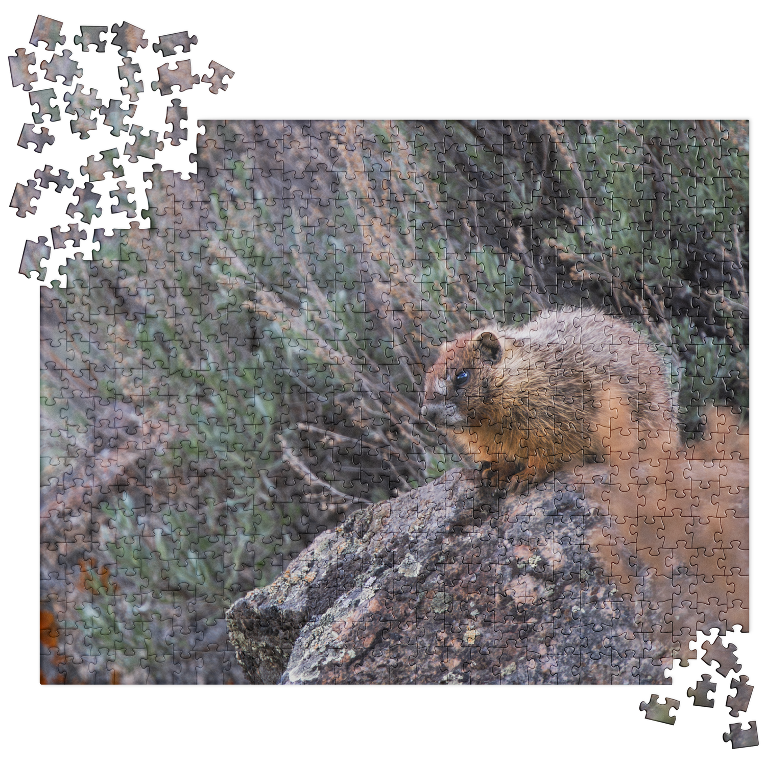 Baby Marmot Jigsaw puzzle