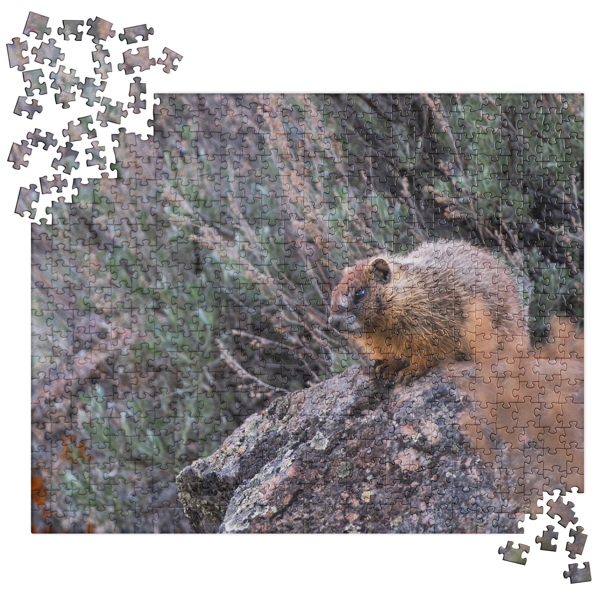 Baby Marmot Jigsaw puzzle