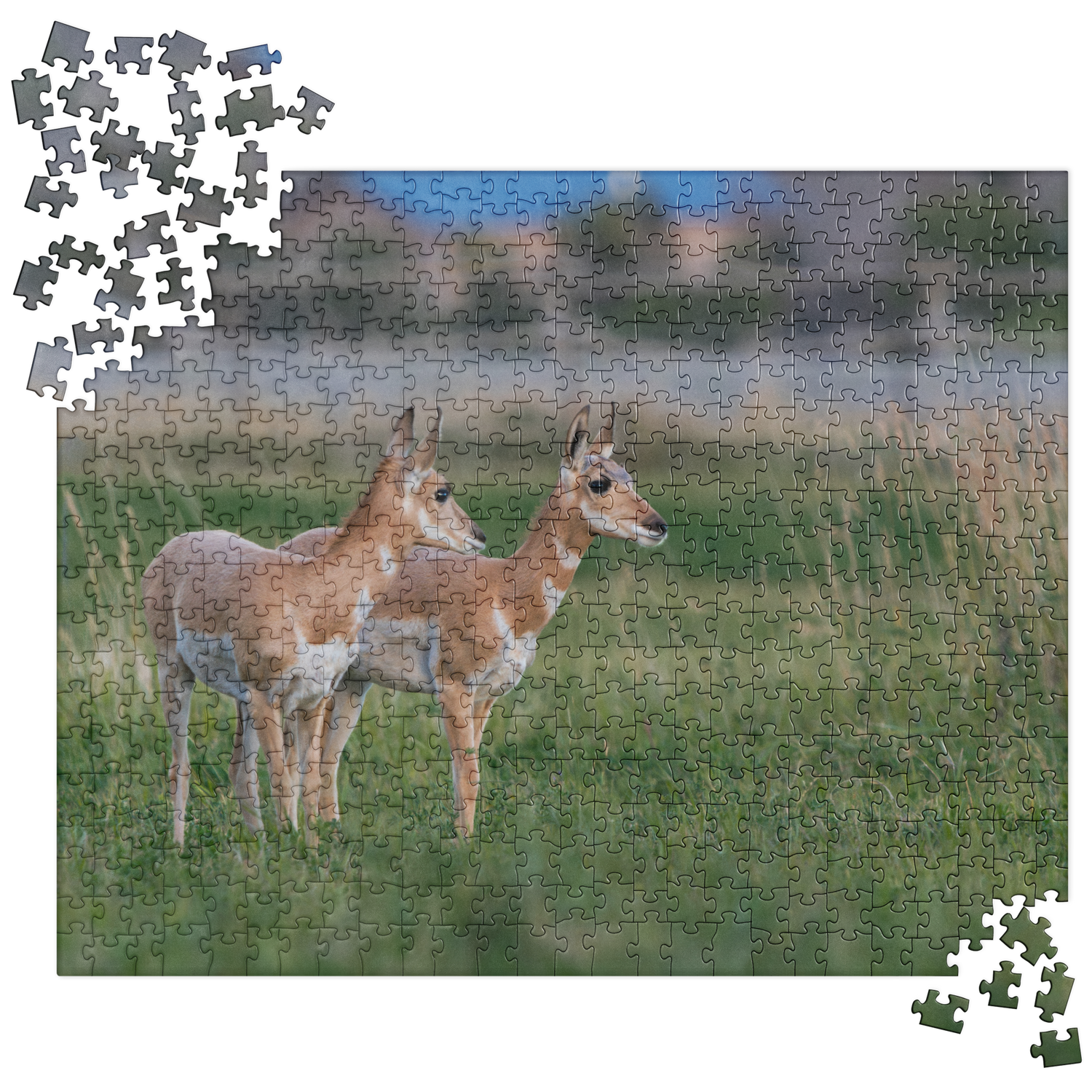 Pronghorn Jigsaw puzzle