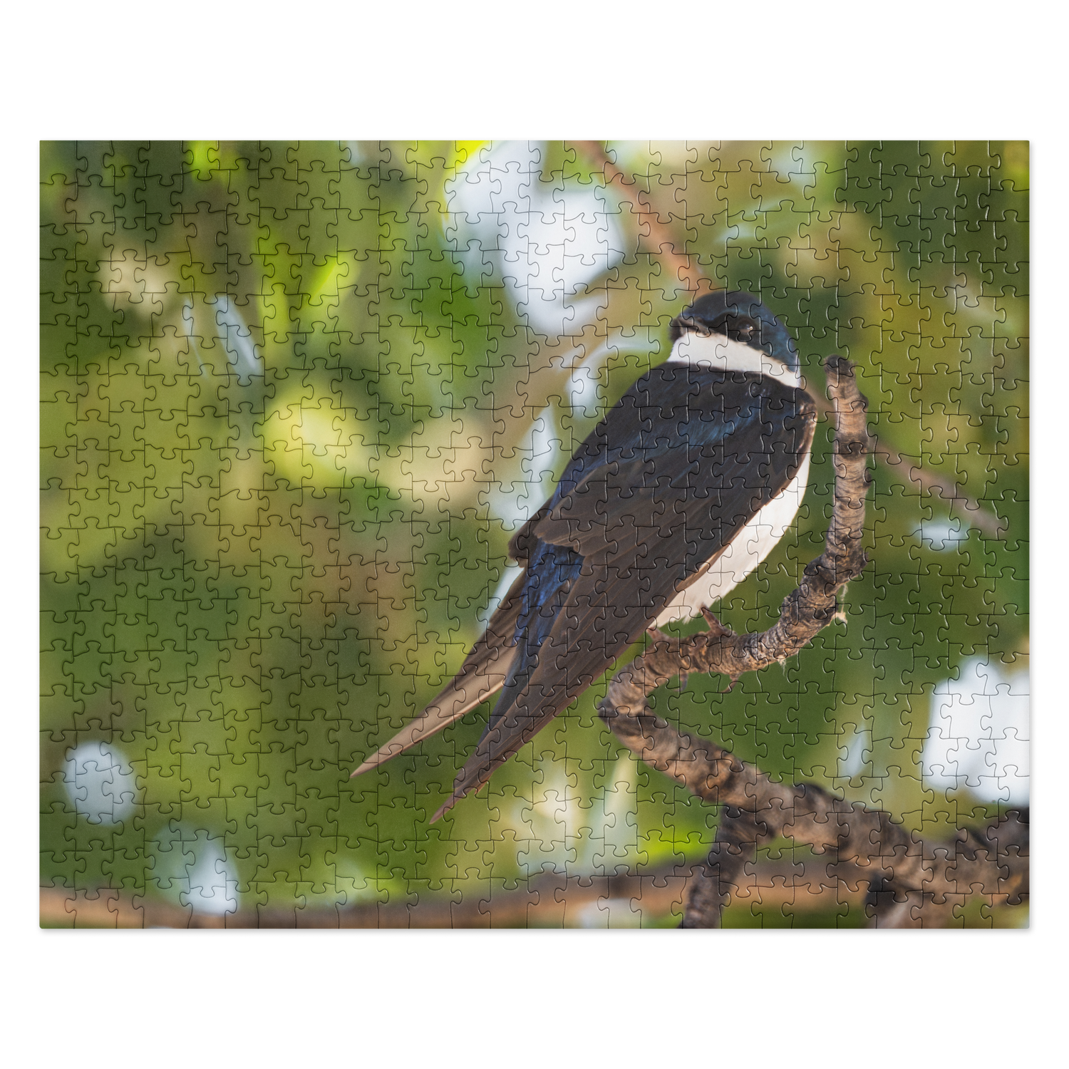 Tree Swallow Jigsaw puzzle