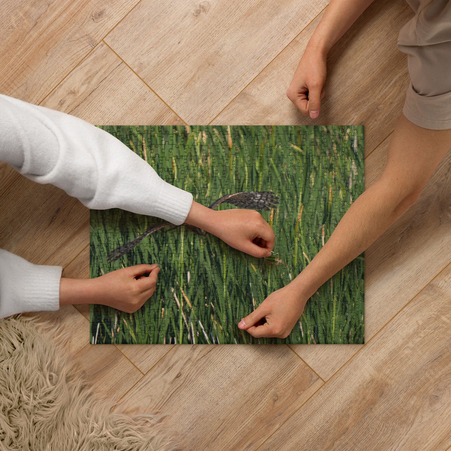 Northern Harrier Jigsaw puzzle