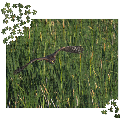 Northern Harrier Jigsaw puzzle