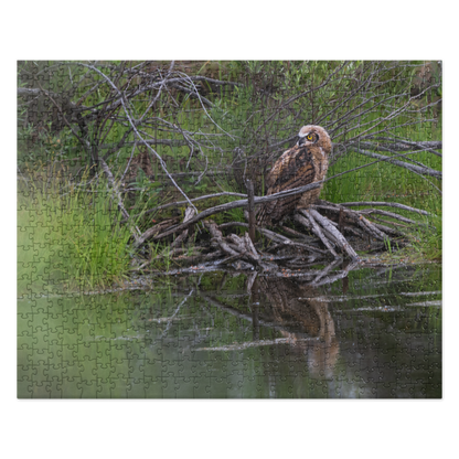 Owlet Jigsaw puzzle