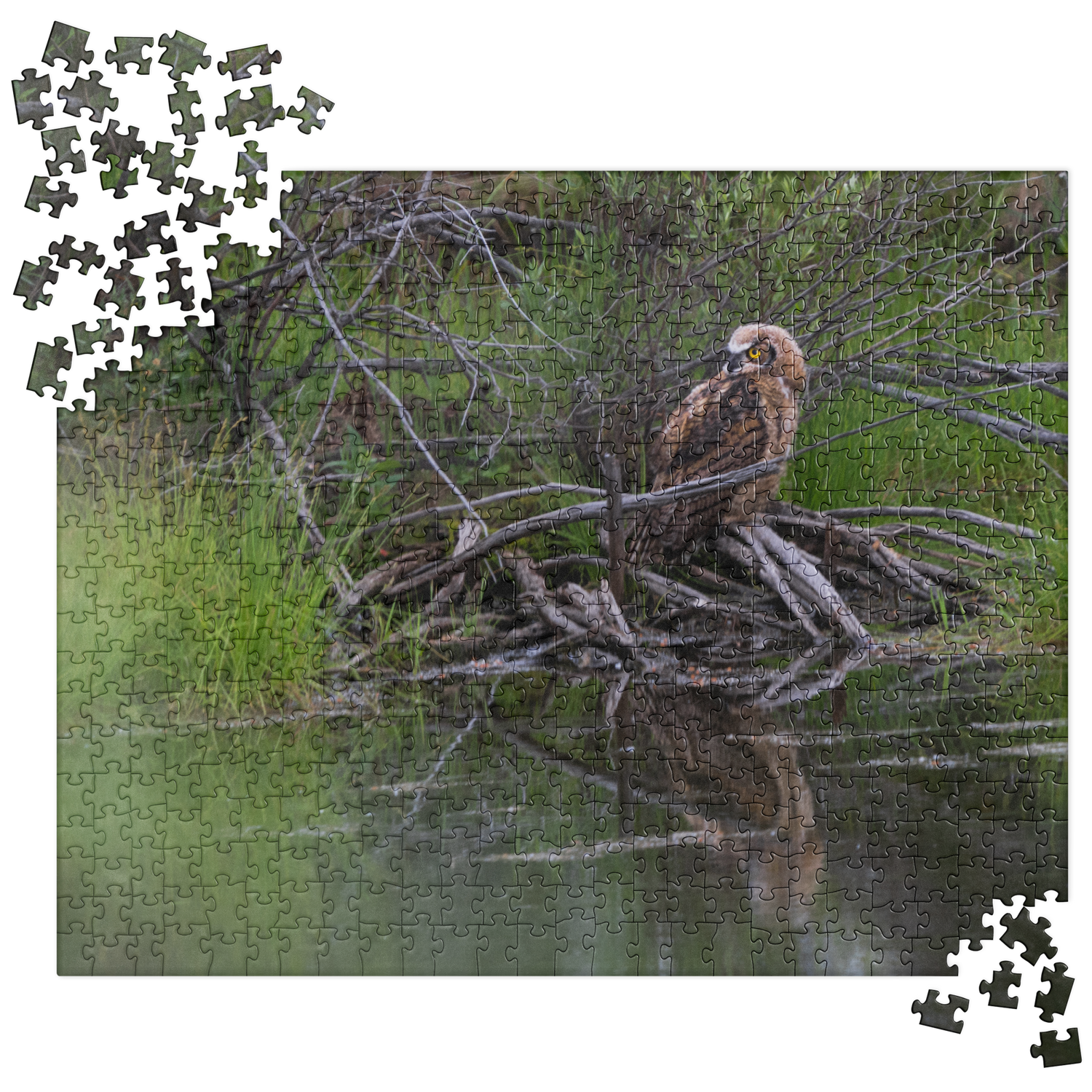 Owlet Jigsaw puzzle